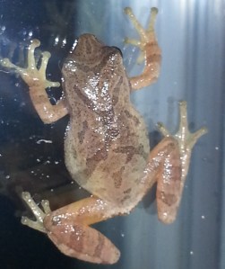 20131004_211535_Cropped