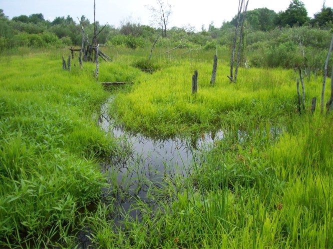 2_Drainage Pattern_Photo 005